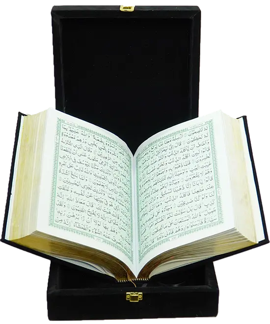 Al Quran Al Kareem - (Velvet Gift Packing)