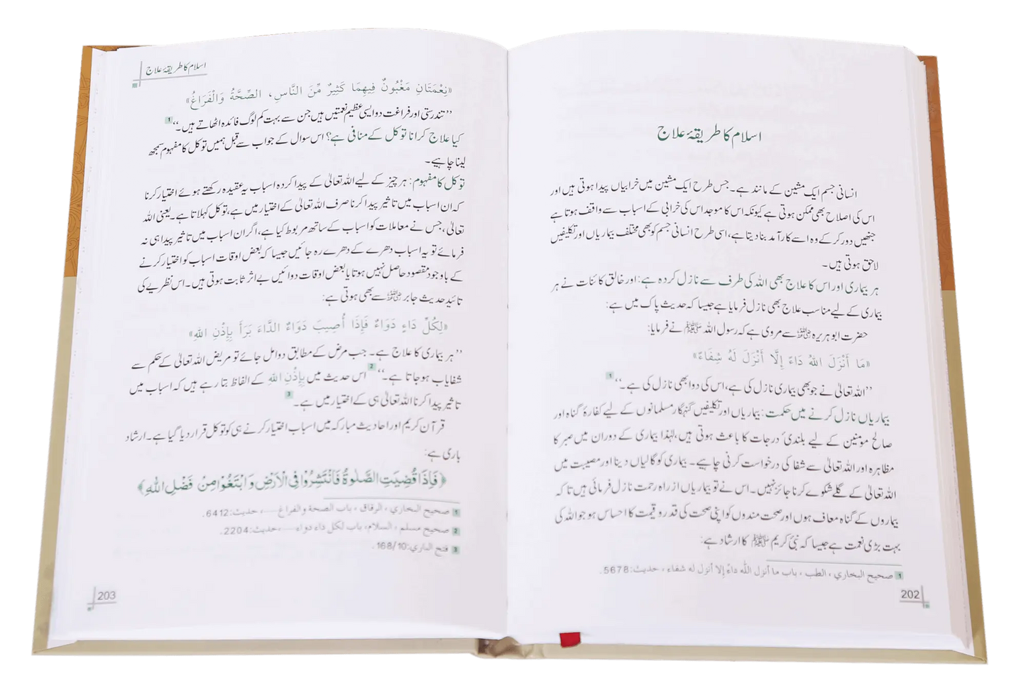 Dua Aur Dawa Kay Masnoon Adaab (Jadeed)