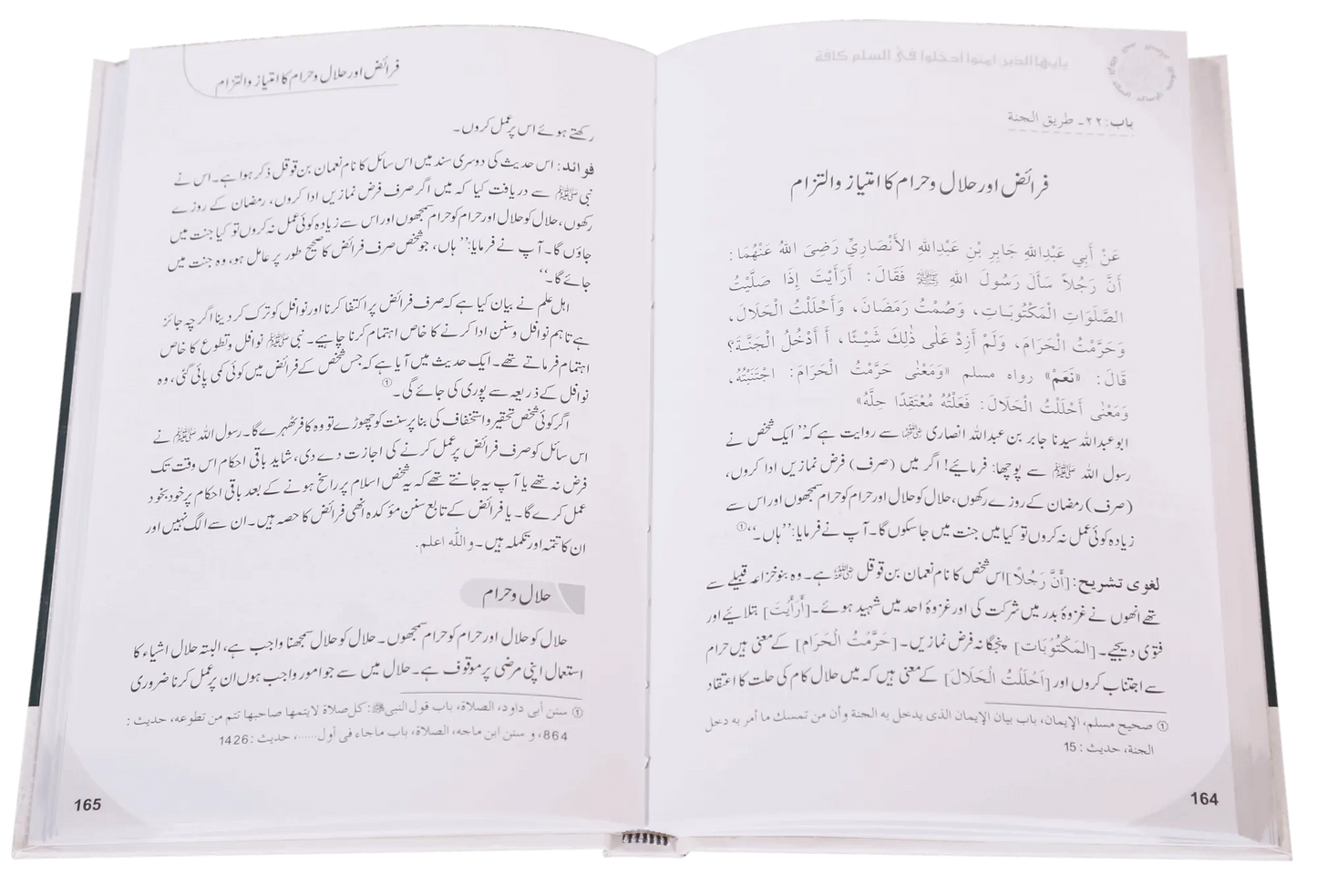 Islam Ke Ahkam o Aadaab (New Edition)