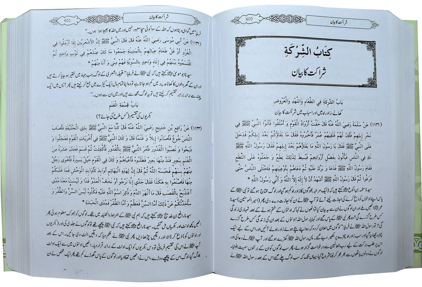 Mukhtasar Sahih Bukhari (Large) - Dar Ul Andlus