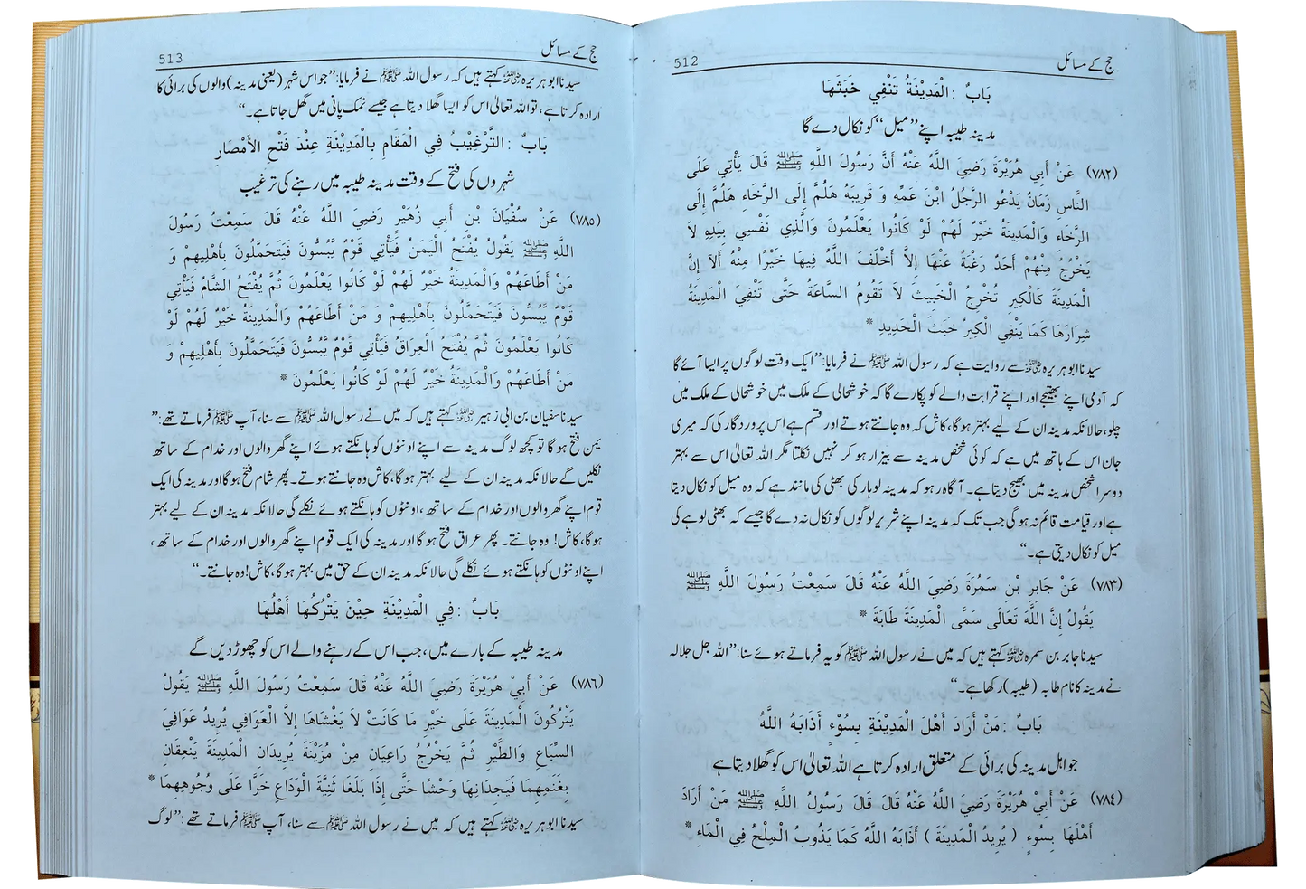 Mukhtasar Sahih Muslim (2 volumes set) - Dar Ul Andlus