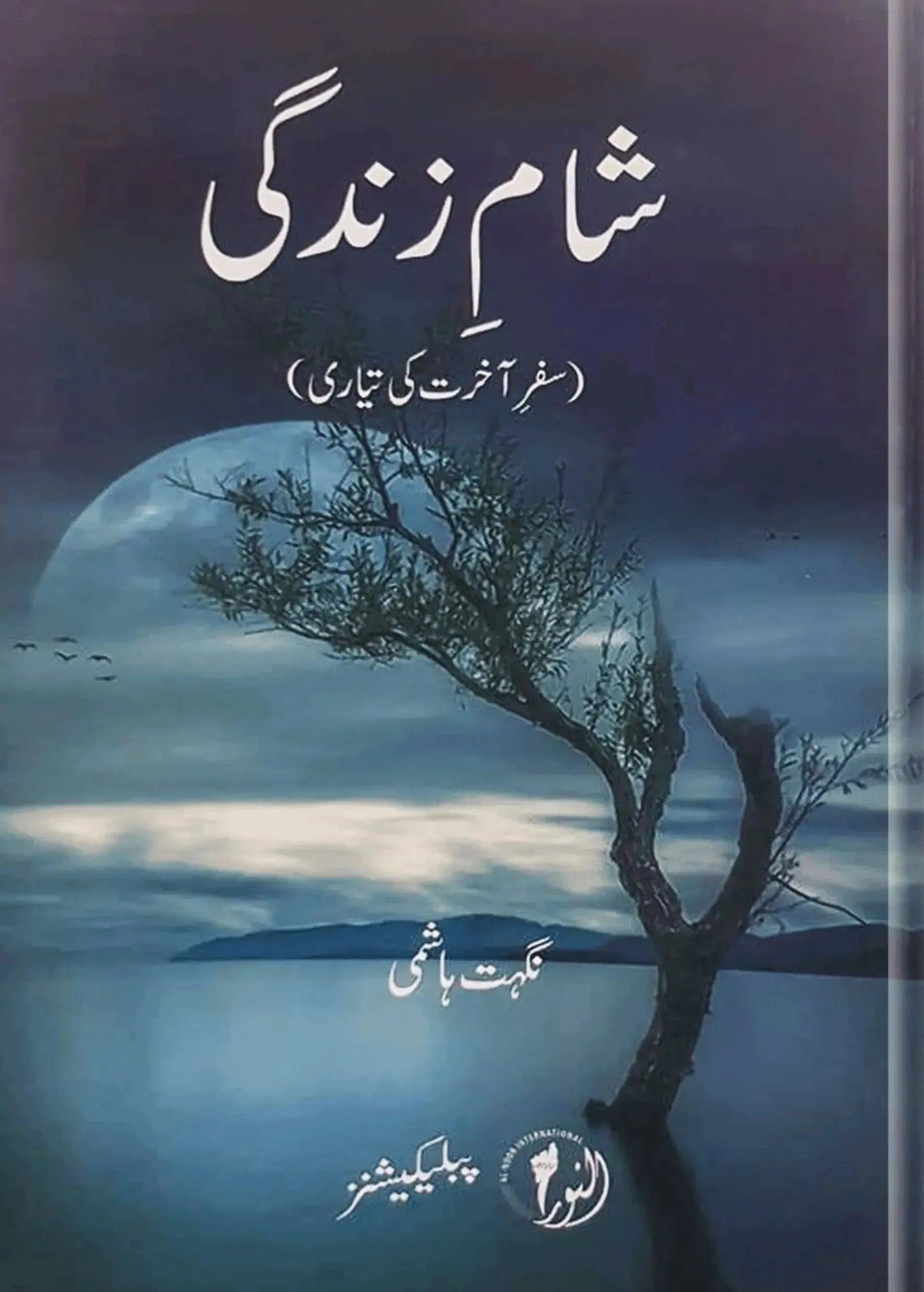 Shaam e Zindagi