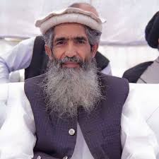 Molana Ameer Hamza