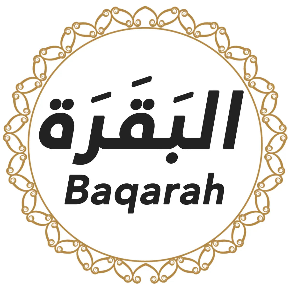 Quran Translation - 