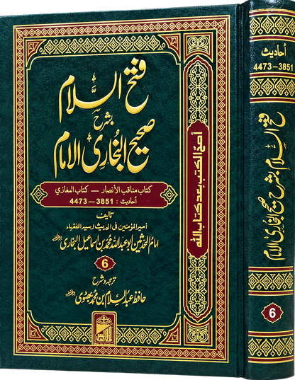 VOLUME 6