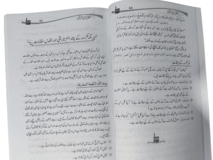 Information about the Kaaba and Holy Mosques