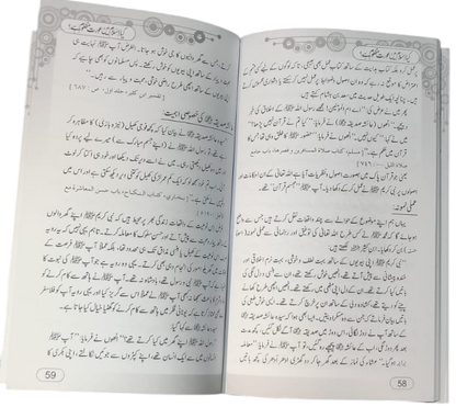Kya Islam mein Aurat Mazloom Hai? (کیا اسلام میں عورت مظلوم ہے؟) by Dr. Muhammad Ayub Shahid, inside pages, 4