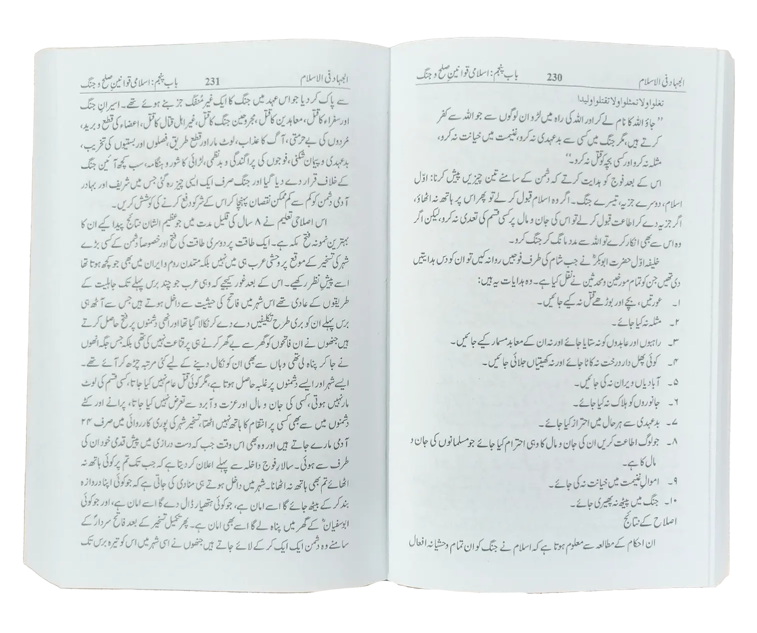 Al Jihad fil Islam (Card Cover) 