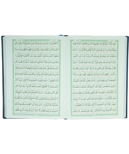 Al Quran Al Kareem (Tarjuma - Banul Satur - 12 Lines) 