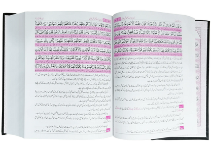 Asan Tarjuma Quran (Dr Israr Ahmed) 