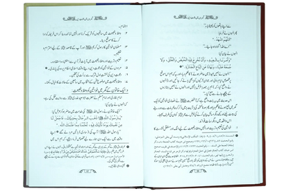 Dawaat e Deen Kaha Di Jaye by Professor Dr. Fazal Elahi, inside pages, Dar ul Noor