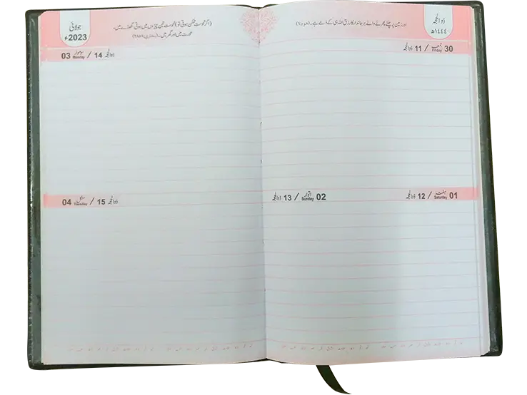 Diary 2023 (Large - Gift Diary) 