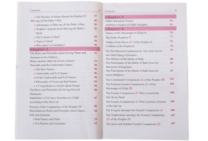 Dictionary of Islamic Names 