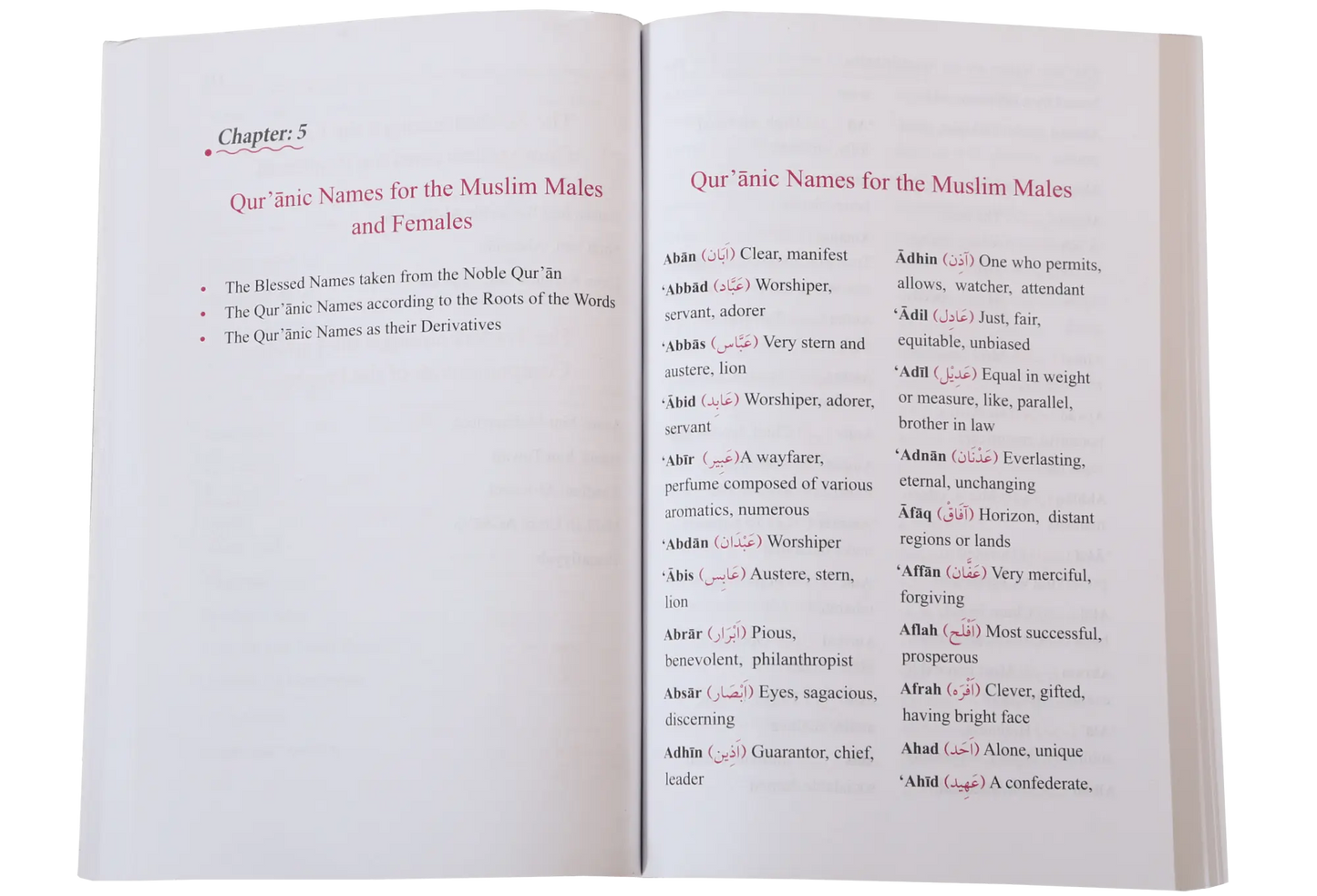 Dictionary of Islamic Names 