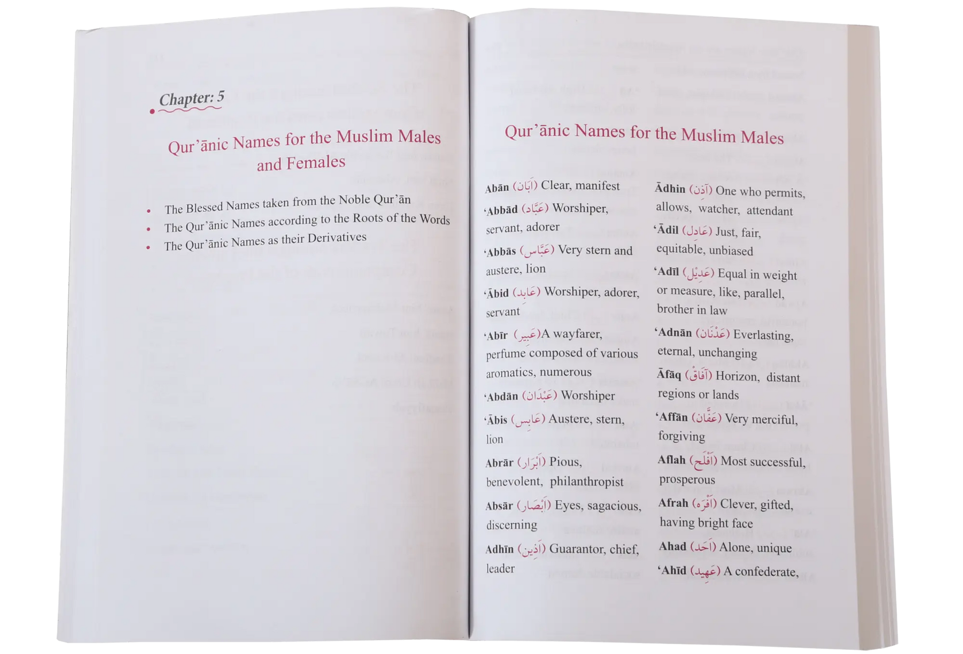 Dictionary of Islamic Names 