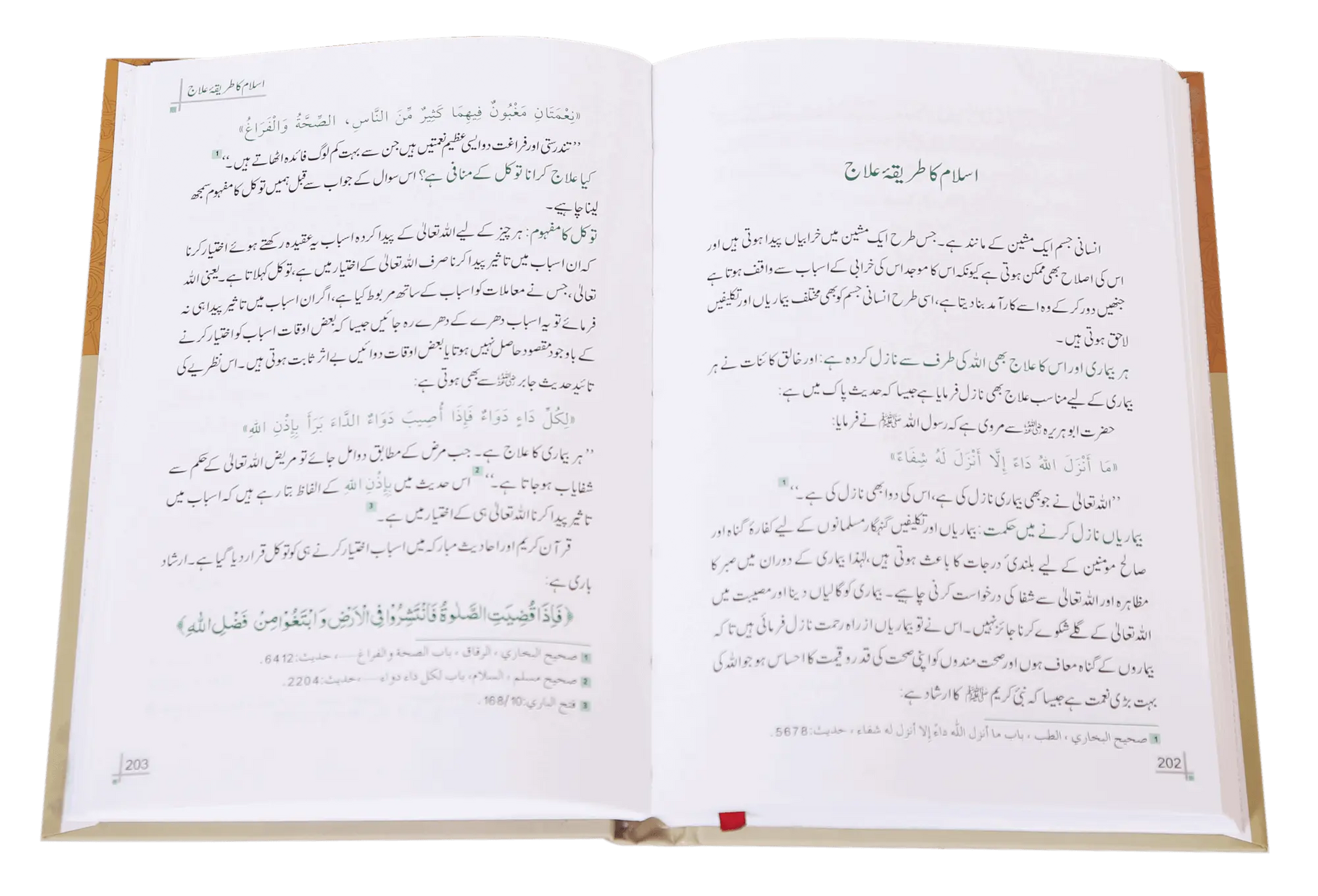 Dua Aur Dawa Kay Masnoon Adaab (Jadeed) 