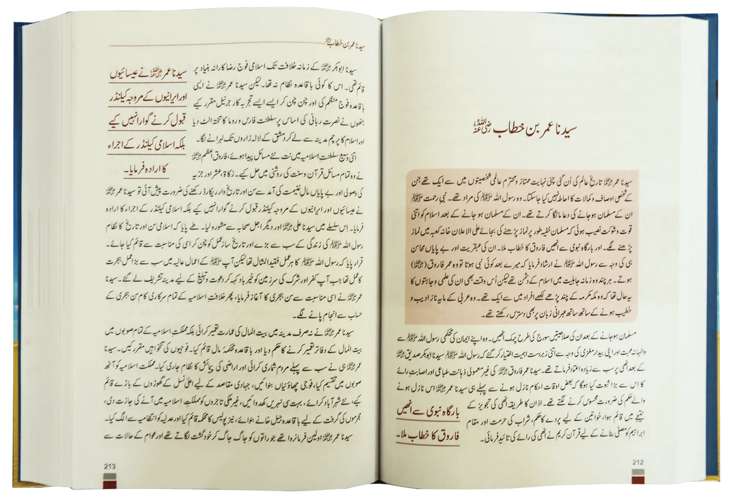 Encyclopedia Seerat Sahaba Karam (Volume # 1) 