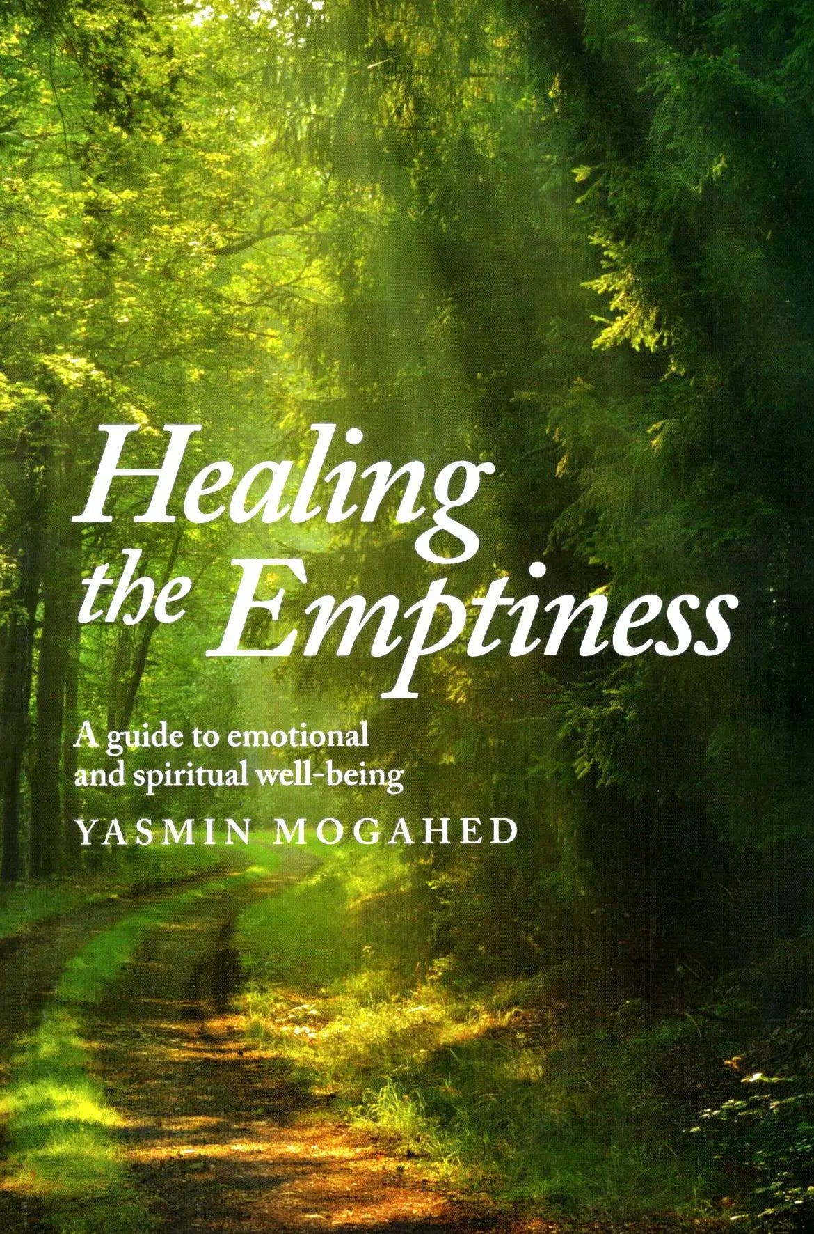 Healing The Emptiness (A Guide To Emotional And Spiritual Well-Being) 
