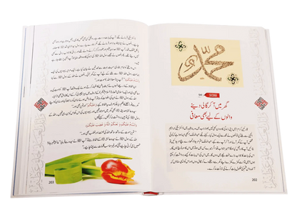 Ikhlaaq E Nabvi Ke Sunehre Waqeyat by Abdul Malik Mujahid, inside pages, Darussalam