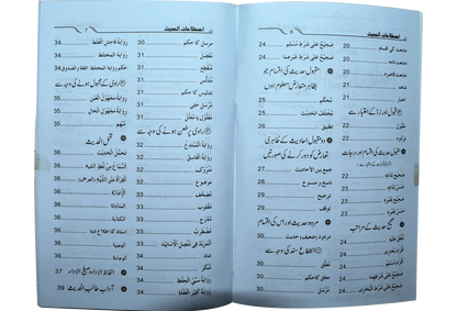 Islahaat Ul Hadees 