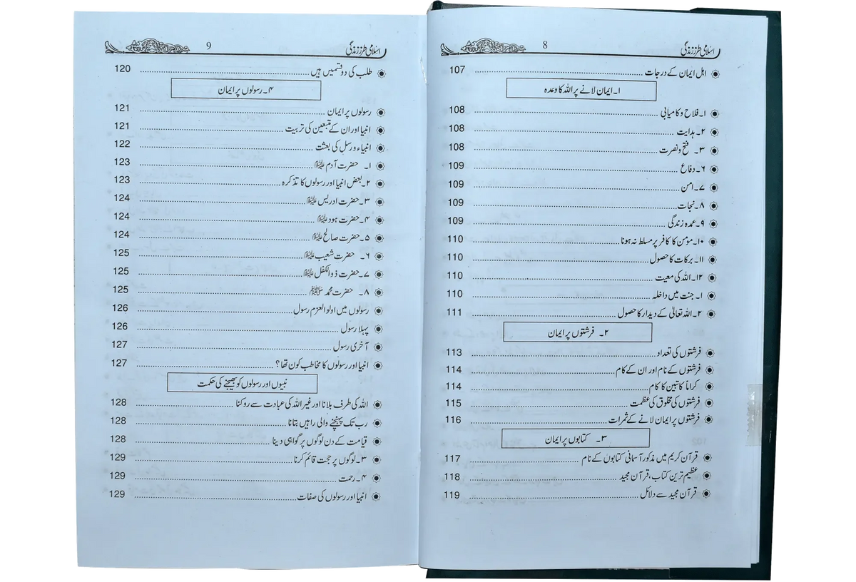 Islami Tarz E Zindgi (Jild 1) by Muhammad Bin Ibrahim Bin Abdullah, inside pages, Dar Ul Andlus
