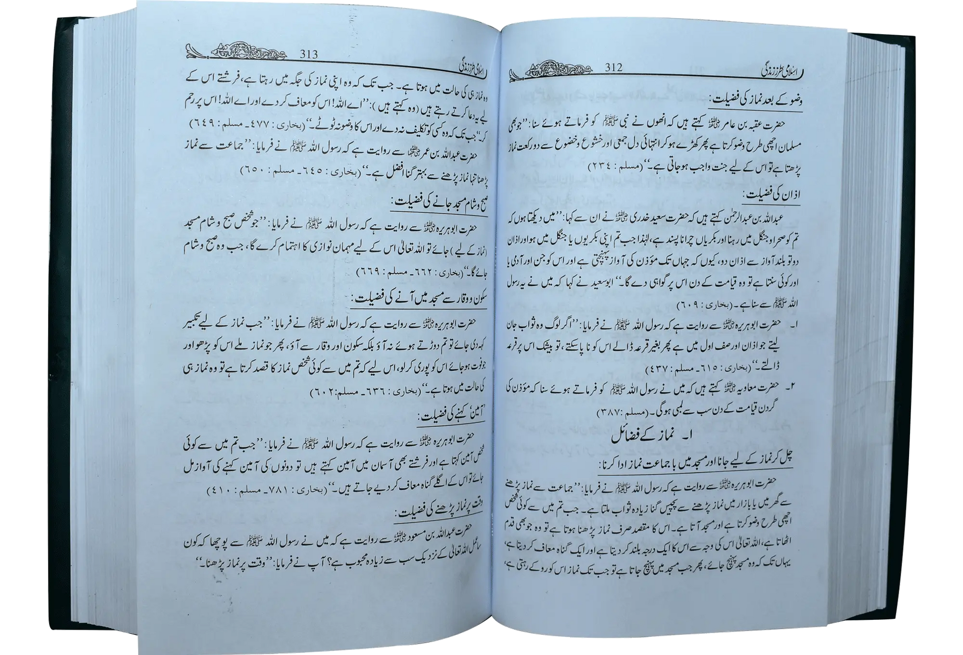 Islami Tarz E Zindgi (Jild 1) 