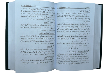 Islami Tarz E Zindgi (Jild 2) 