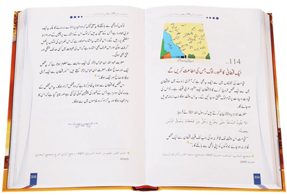 Jab Dunya Raiza Raiza Ho Jaye Gi (Imported) 