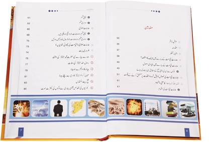 Jab Dunya Raiza Raiza Ho Jaye Gi (Imported) 
