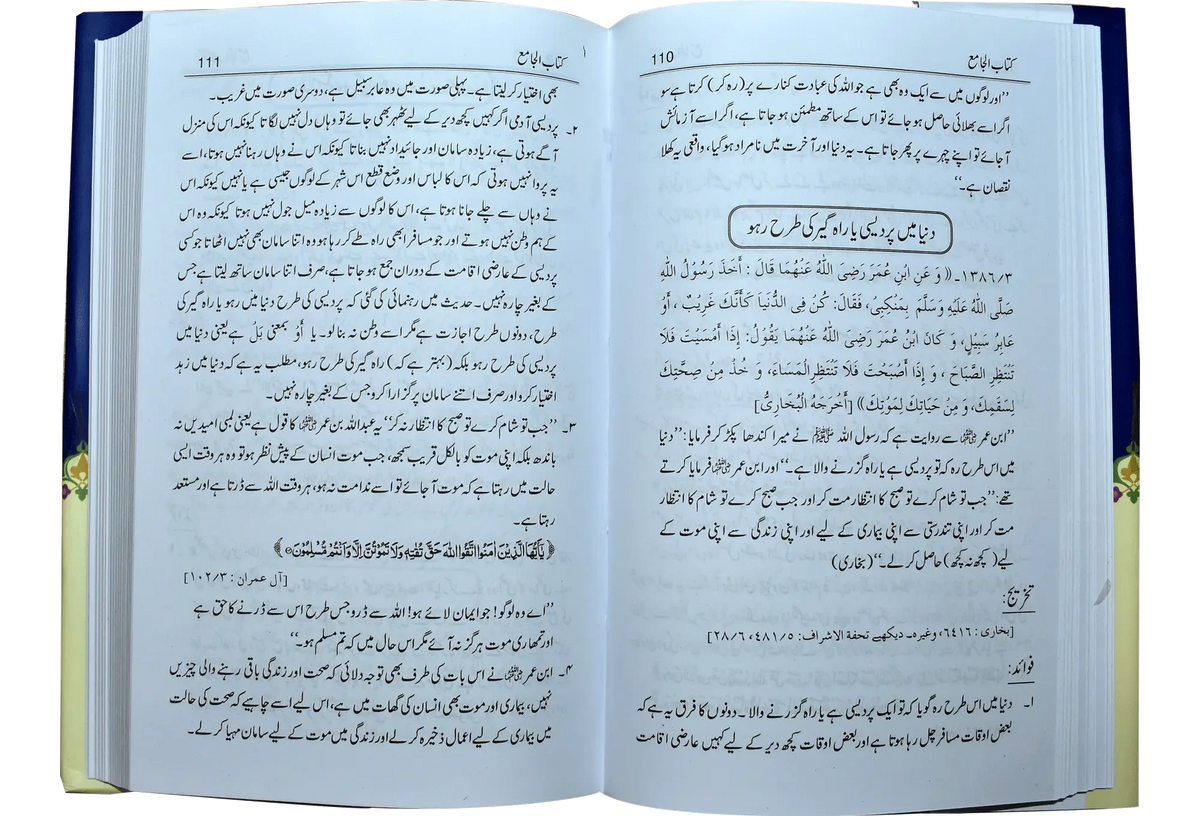 Kitab Ul Jamia (Large) by Hafiz Abdus Salam Bin Muhammad Bhutvi, inside pages, Dar Ul Andlus