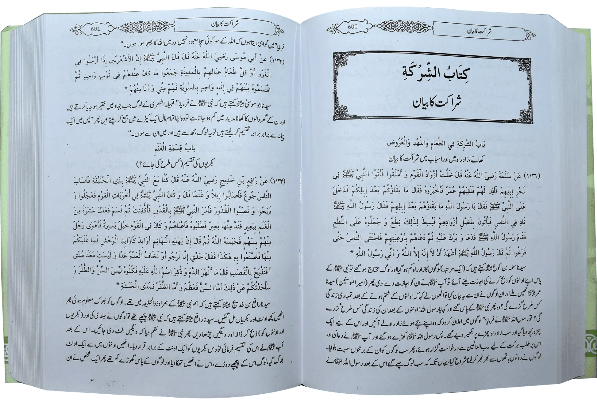 Mukhtasar Sahih Bukhari (Large) - Dar Ul Andlus