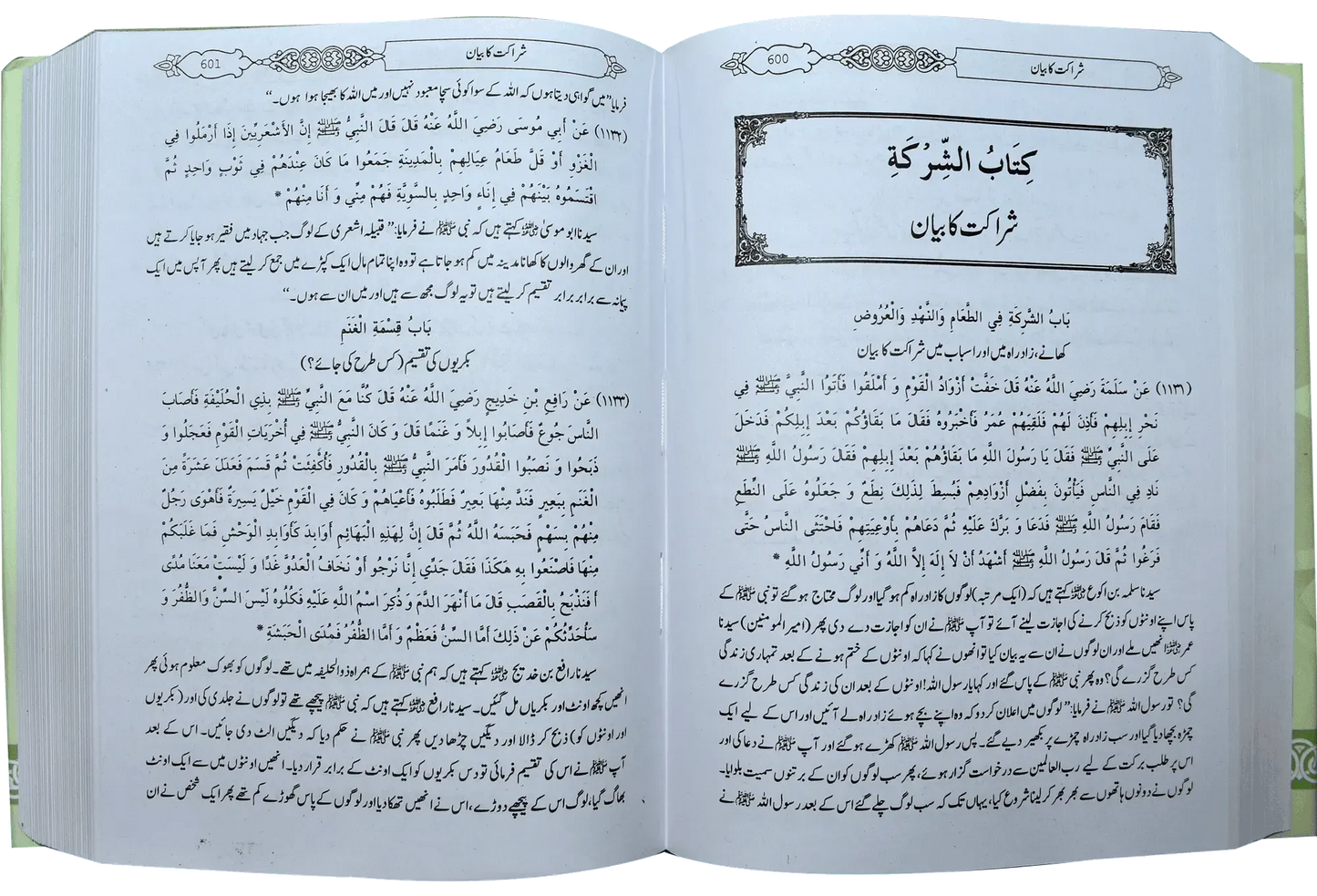 Mukhtasar Sahih Bukhari (Large)