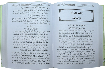 Mukhtasar Sahih Bukhari (Large)