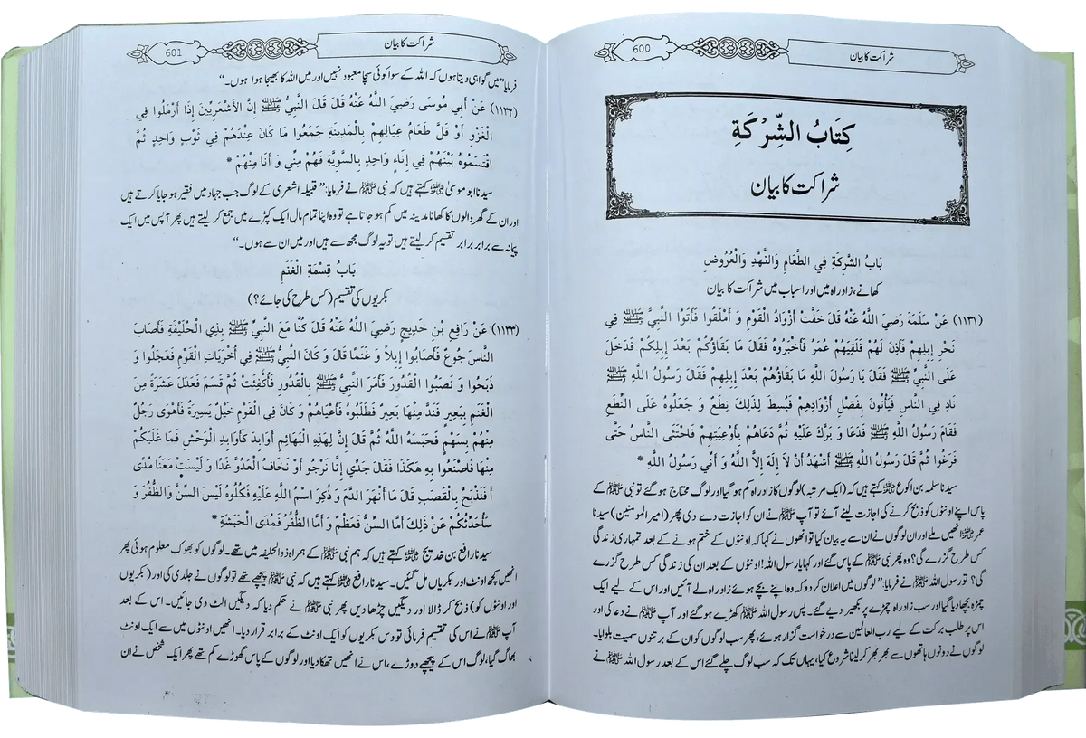 Mukhtasar Sahih Bukhari (Large) by Ahmed Bin Abdul Latif Al Zubaidi, inside pages, Dar Ul Andlus