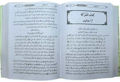 Mukhtasar Sahih Bukhari (Large) by Ahmed Bin Abdul Latif Al Zubaidi, inside pages, Dar Ul Andlus