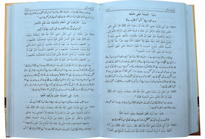 Mukhtasar Sahih Muslim (2 volumes set) - Dar Ul Andlus