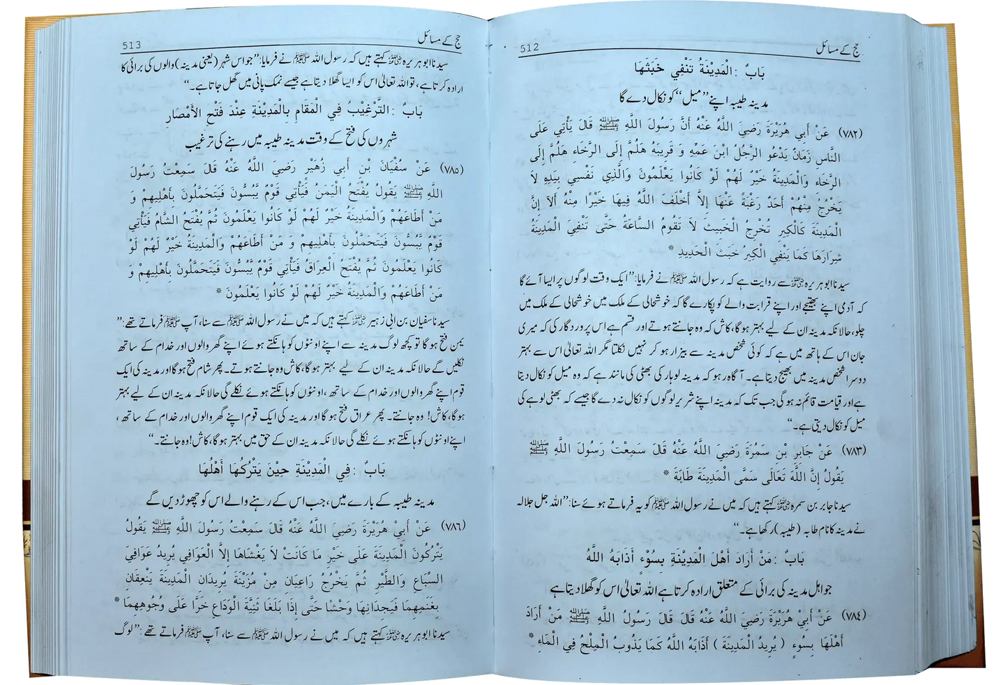 Mukhtasar Sahih Muslim (2 volumes set)