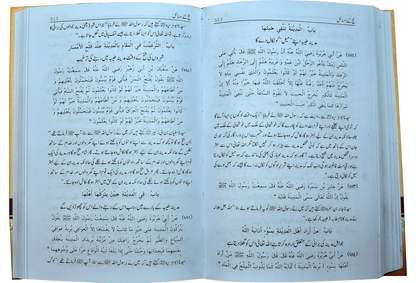 Mukhtasar Sahih Muslim (2 volumes set)