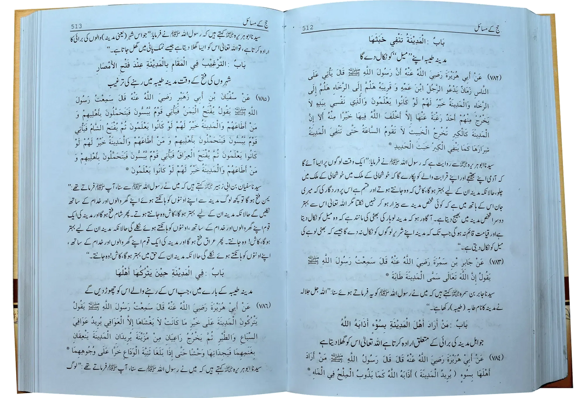 Mukhtasar Sahih Muslim (2 volumes set), inside pages