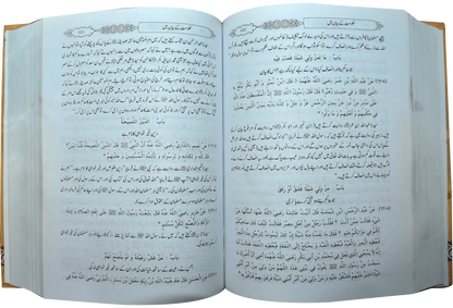 Mukhtasar Sahih Muslim (Large) - Dar Ul Andlus