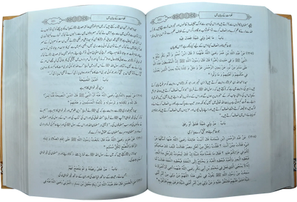 Mukhtasar Sahih Muslim (Large) by Imam Hafiz Zaki Ud DIn Abdul Azeem, inside pages, Dar Ul Andlus