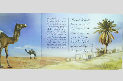 Nabi Kareem (SAW) for Children (12 Books Pack) 