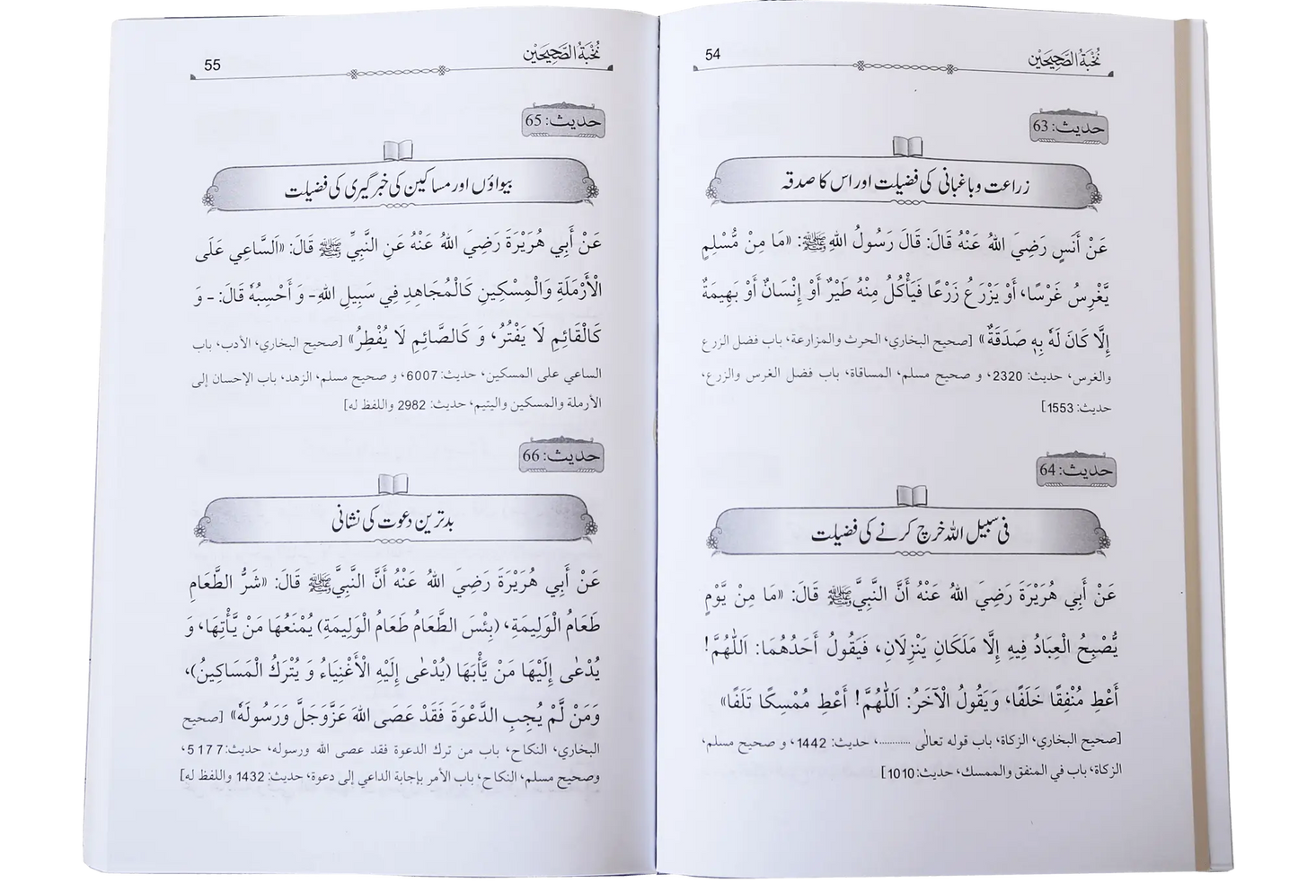 Nukhbat ul Sahiheen (Qari Suhaib Ahmed) 