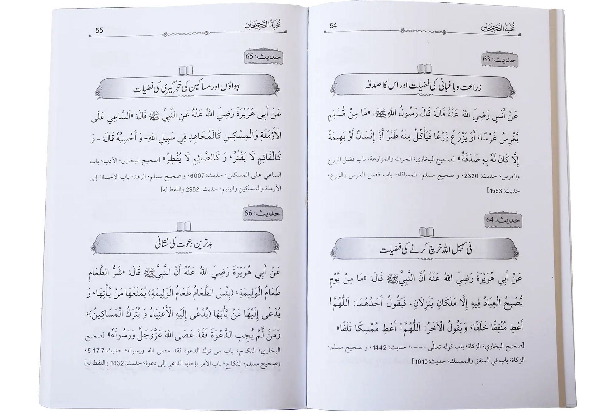 Nukhbat ul Sahiheen (Qari Suhaib Ahmed) 