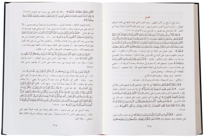 Qassas ul Ambiya (Arabic) 
