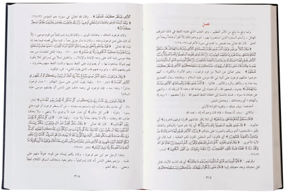 Qassas ul Ambiya (Arabic) by Ibn Katheer, inside pages, Darussalam Publishers