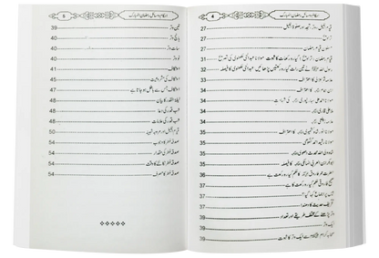 Ramzan Kaisy Guzarain? (Large) 