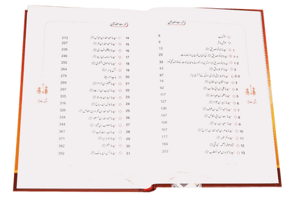 Roshni Key Minaar (Seerat-E-Sahaba) 