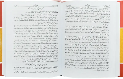 Sahi Seerat e Ambiya A.S (By Saifullah Khalid)