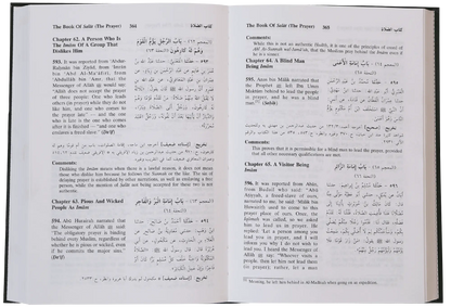 Sunan Abu Daood (5 vol set - English) 